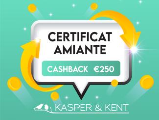 cashback-asbestos